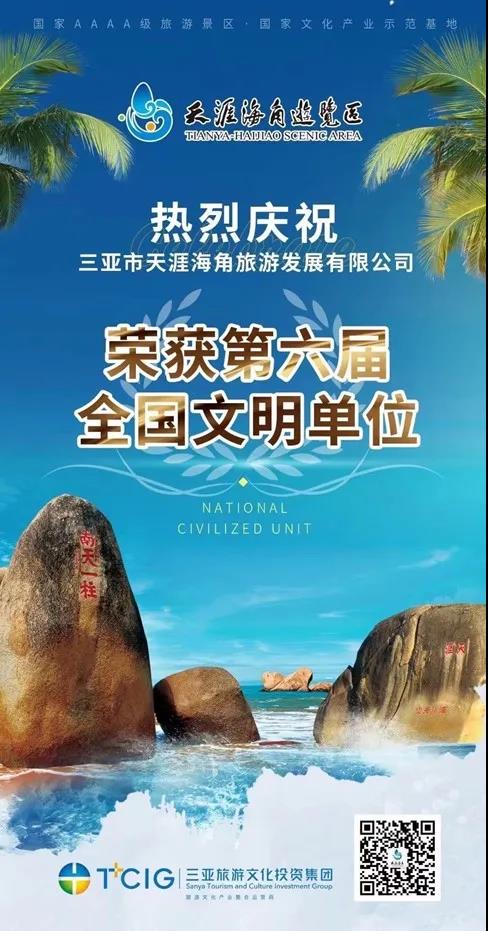 三亚旅游文化发展集团有限公司 三亚旅游文化发展集团有限公司