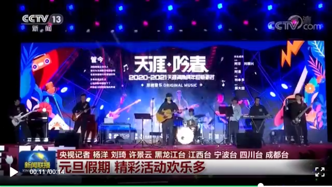 三亚旅游文化发展集团有限公司 三亚旅游文化发展集团有限公司