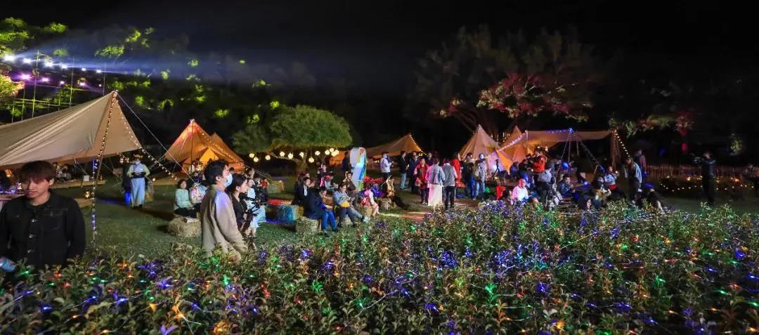 三亚旅游文化发展集团有限公司 三亚旅游文化发展集团有限公司