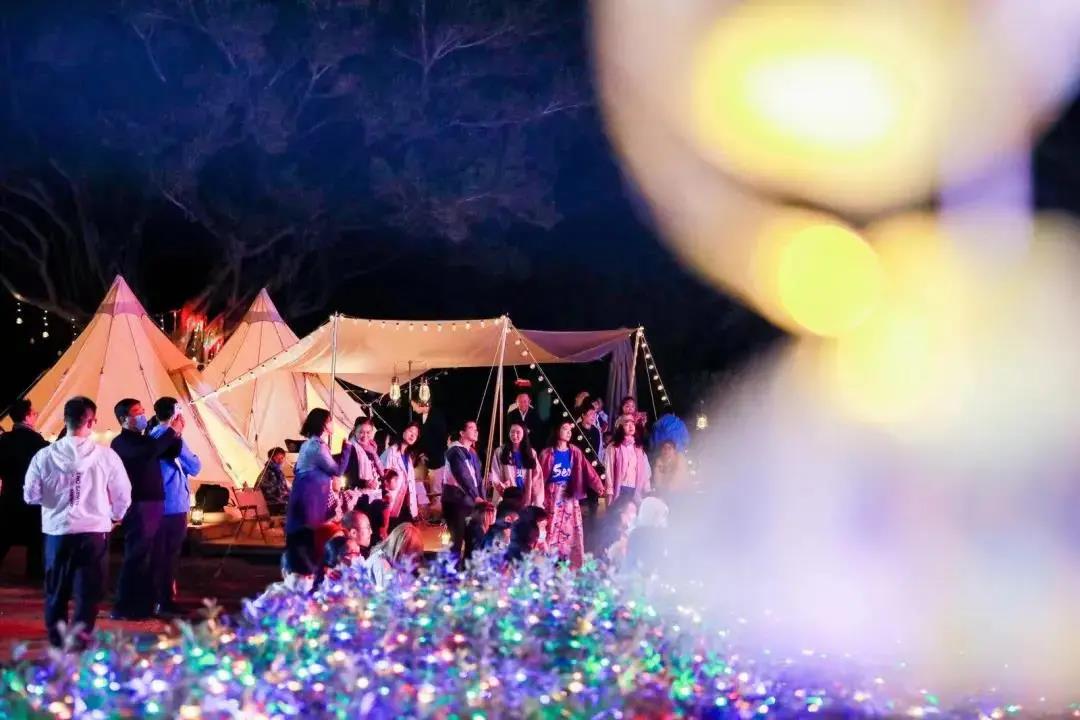 三亚旅游文化发展集团有限公司 三亚旅游文化发展集团有限公司