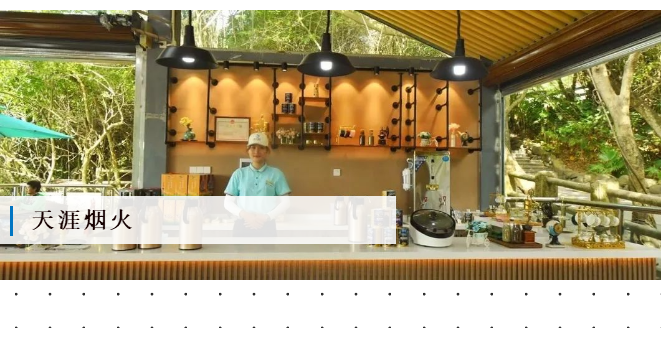 三亚旅游文化发展集团有限公司 三亚旅游文化发展集团有限公司