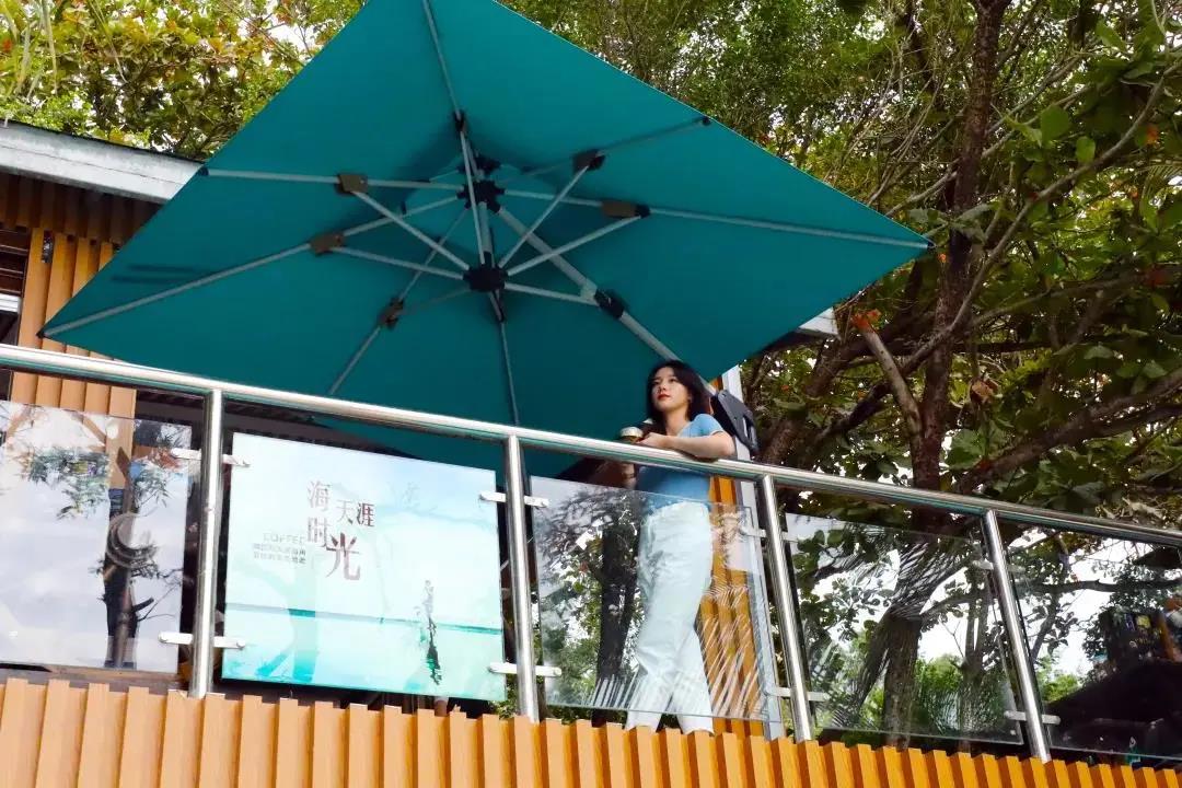 三亚旅游文化发展集团有限公司 三亚旅游文化发展集团有限公司