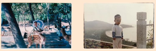 三亚旅游文化发展集团有限公司 三亚旅游文化发展集团有限公司