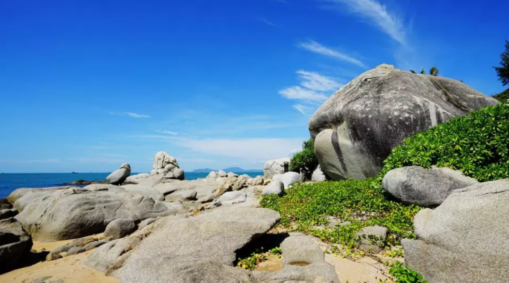 三亚旅游文化发展集团有限公司 三亚旅游文化发展集团有限公司