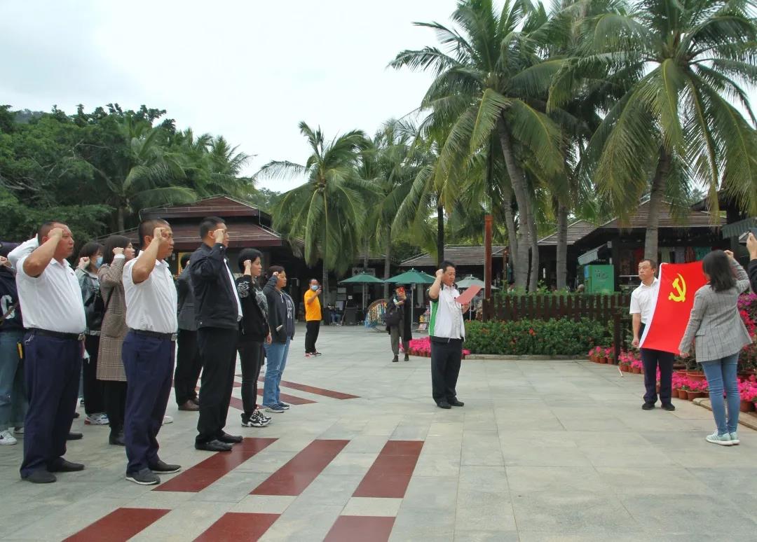 三亚旅游文化发展集团有限公司 三亚旅游文化发展集团有限公司