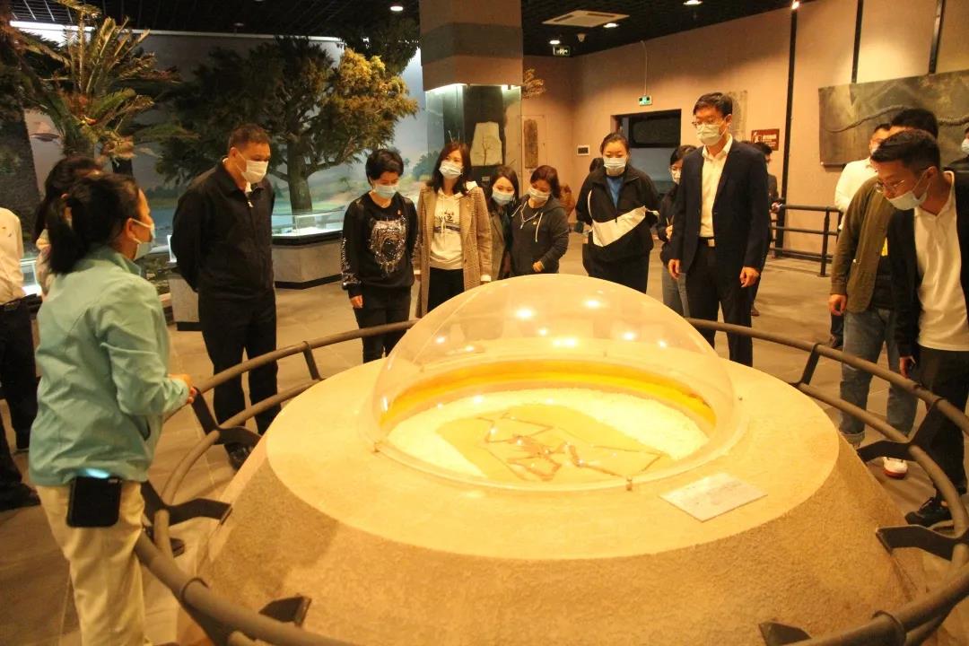 三亚旅游文化发展集团有限公司 三亚旅游文化发展集团有限公司