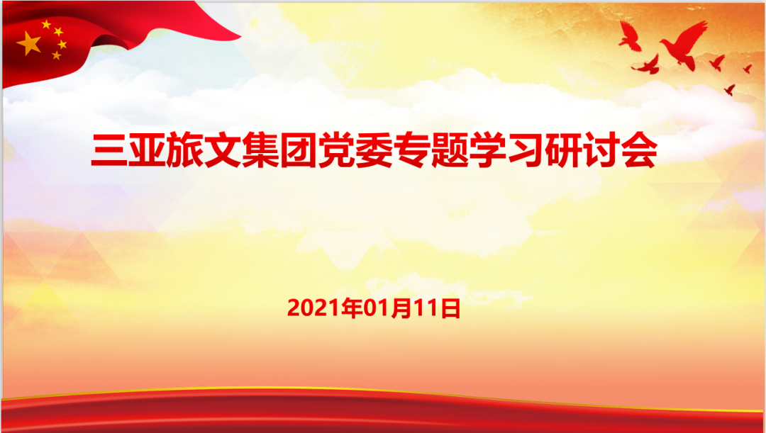 三亚旅游文化发展集团有限公司