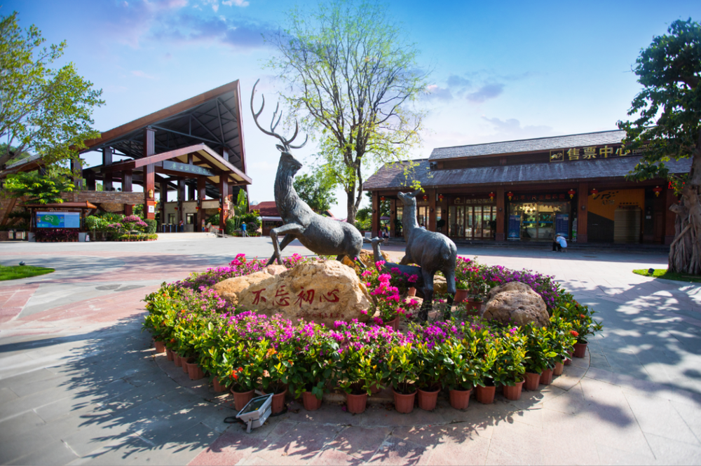 三亚旅游文化发展集团有限公司 三亚旅游文化发展集团有限公司