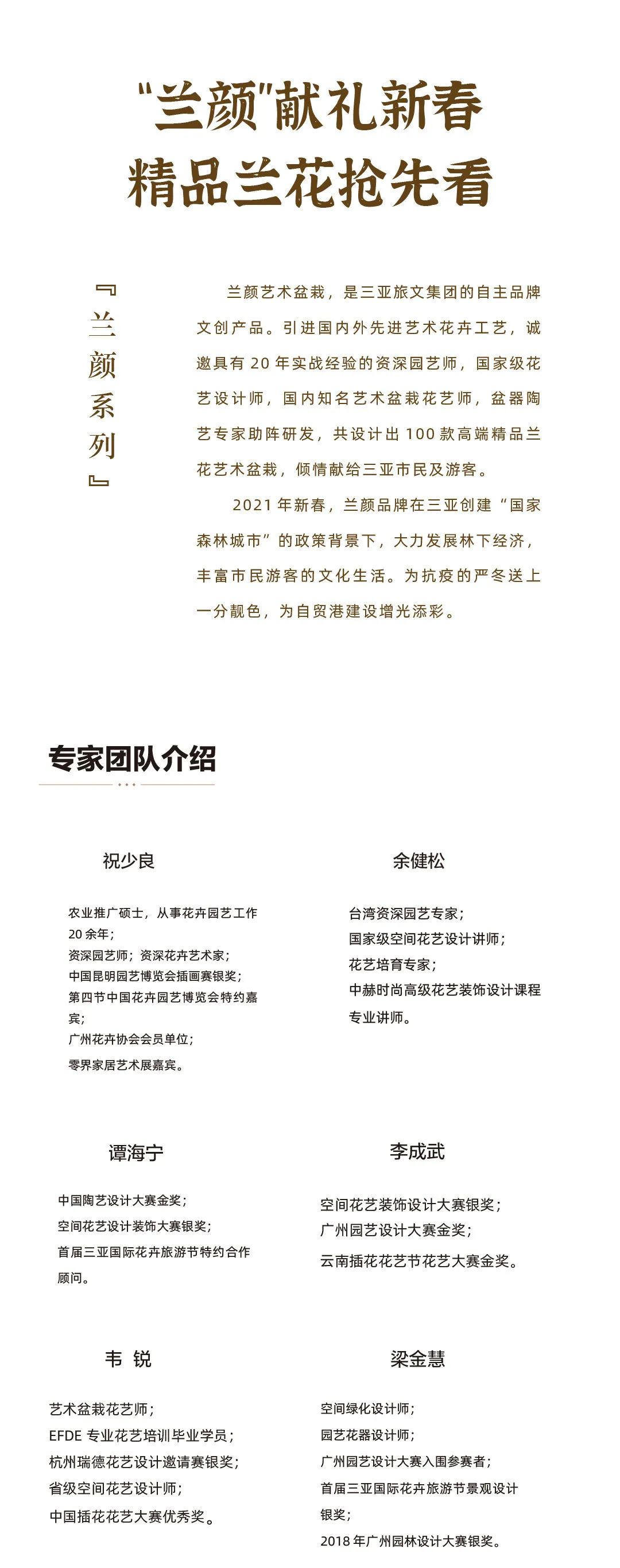 三亚旅游文化发展集团有限公司