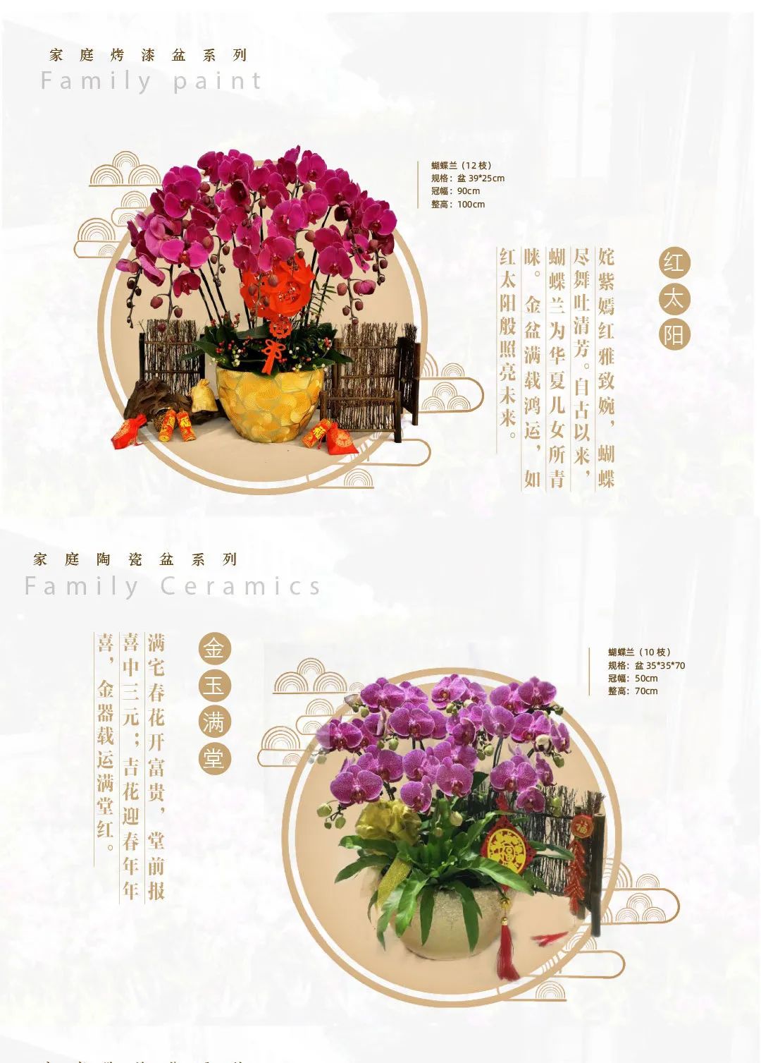 三亚旅游文化发展集团有限公司