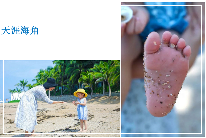 三亚旅游文化发展集团有限公司