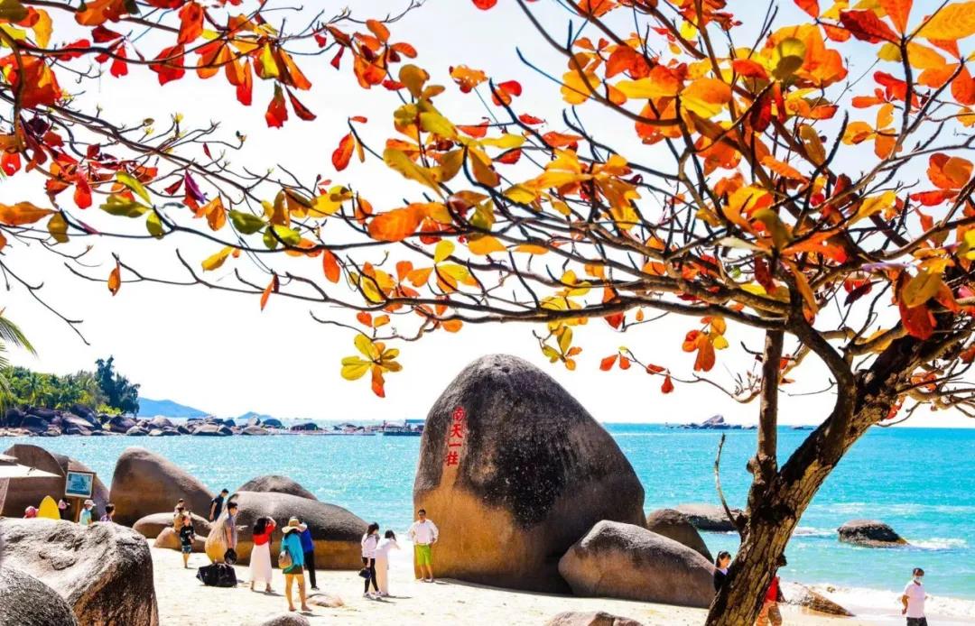 三亚旅游文化发展集团有限公司 三亚旅游文化发展集团有限公司