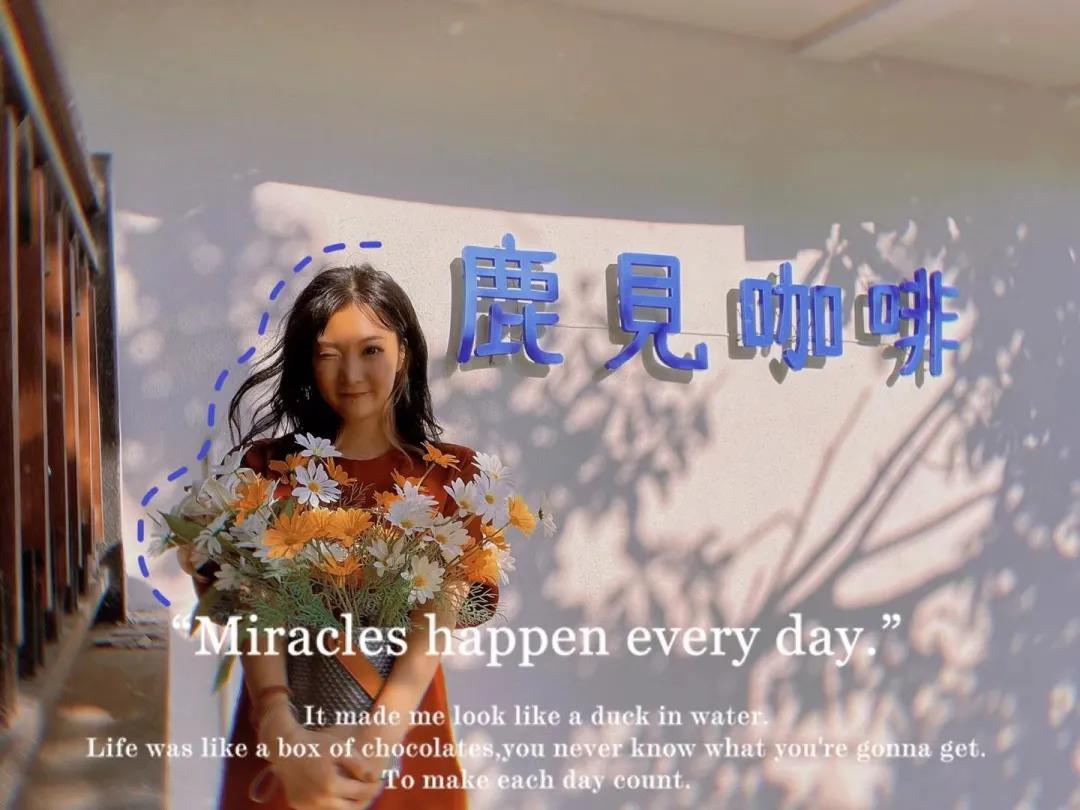 三亚旅游文化发展集团有限公司 三亚旅游文化发展集团有限公司