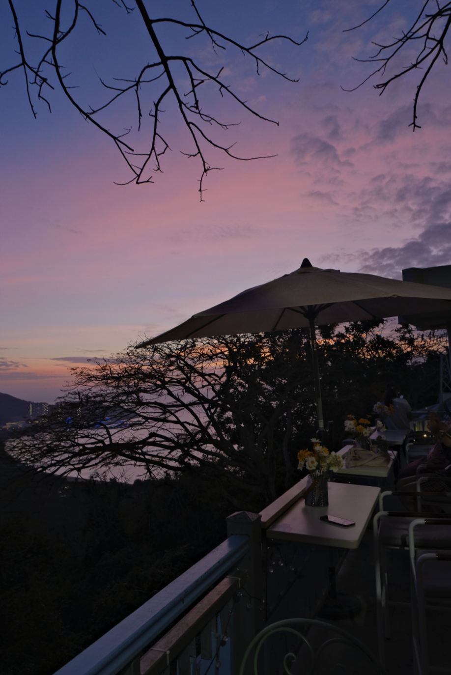 三亚旅游文化发展集团有限公司 三亚旅游文化发展集团有限公司