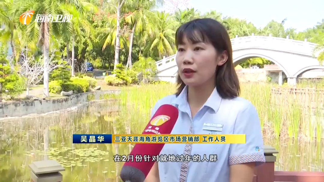 三亚旅游文化发展集团有限公司