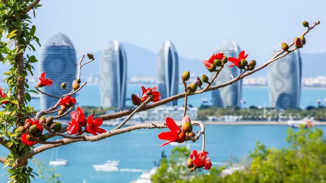 三亚旅游文化发展集团有限公司 三亚旅游文化发展集团有限公司