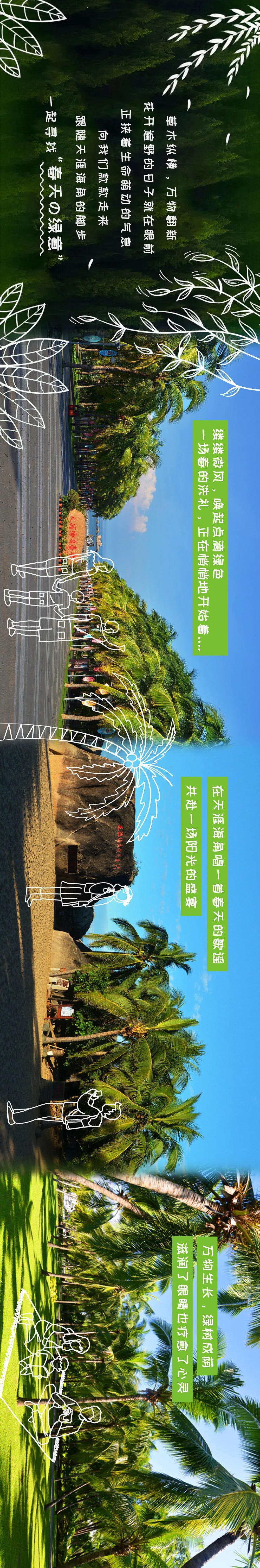 三亚旅游文化发展集团有限公司