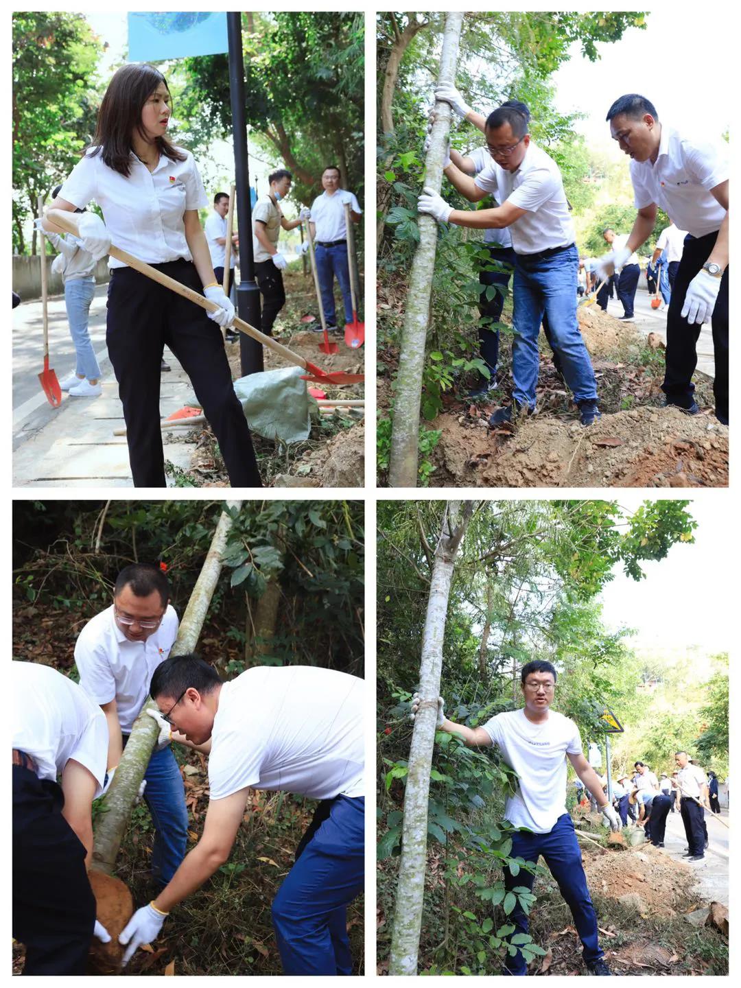 三亚旅游文化发展集团有限公司 三亚旅游文化发展集团有限公司