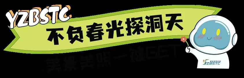 三亚旅游文化发展集团有限公司 三亚旅游文化发展集团有限公司