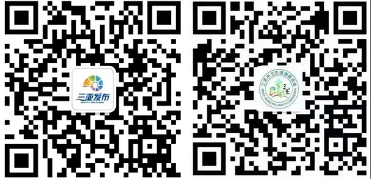 三亚旅游文化发展集团有限公司 三亚旅游文化发展集团有限公司