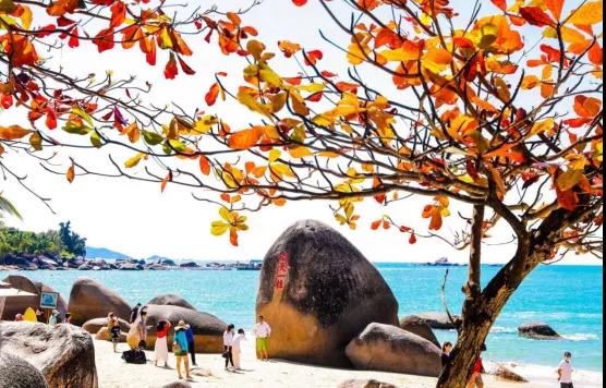 三亚旅游文化发展集团有限公司 三亚旅游文化发展集团有限公司