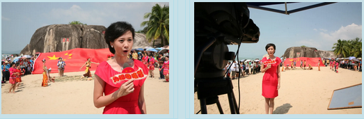 三亚旅游文化发展集团有限公司 三亚旅游文化发展集团有限公司