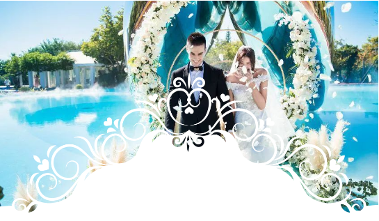 三亚旅游文化发展集团有限公司 三亚旅游文化发展集团有限公司