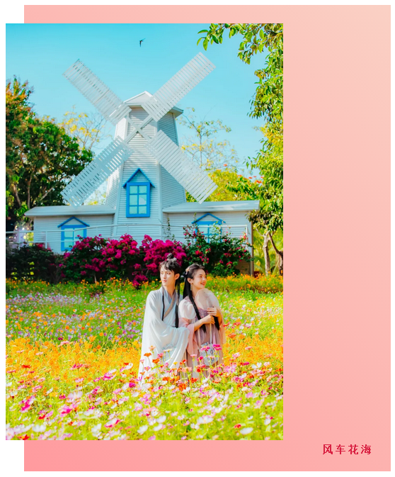 三亚旅游文化发展集团有限公司