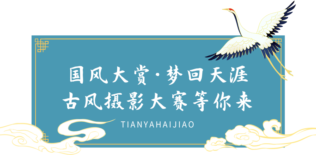 三亚旅游文化发展集团有限公司