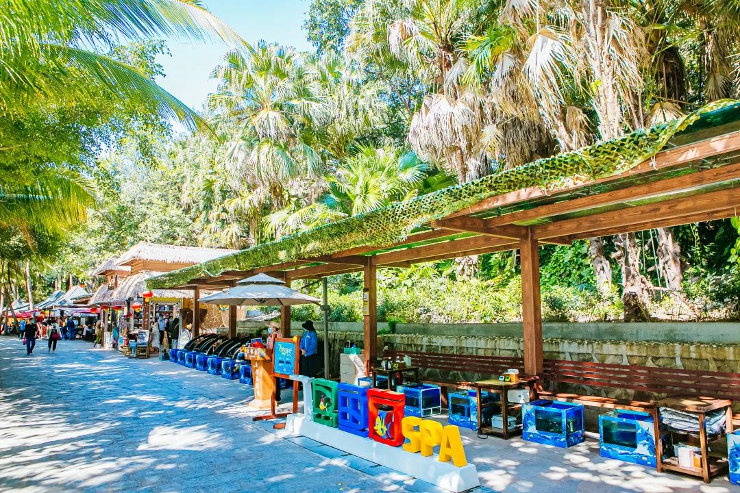 三亚旅游文化发展集团有限公司