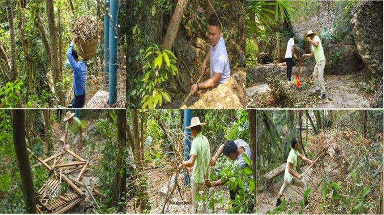 三亚旅游文化发展集团有限公司