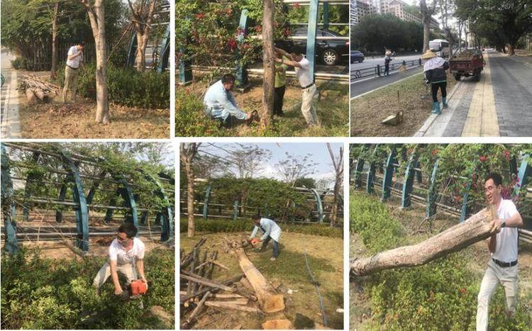 三亚旅游文化发展集团有限公司