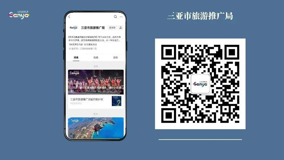 三亚旅游文化发展集团有限公司 三亚旅游文化发展集团有限公司