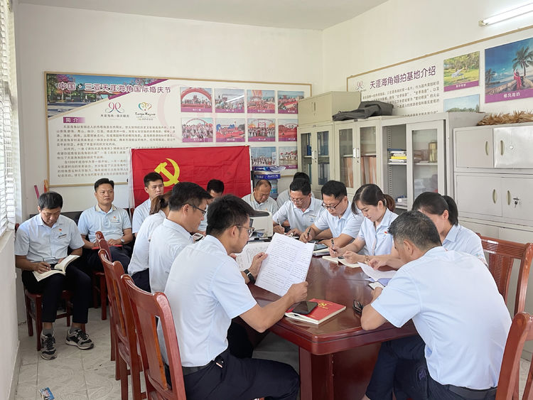 三亚旅游文化发展集团有限公司 三亚旅游文化发展集团有限公司