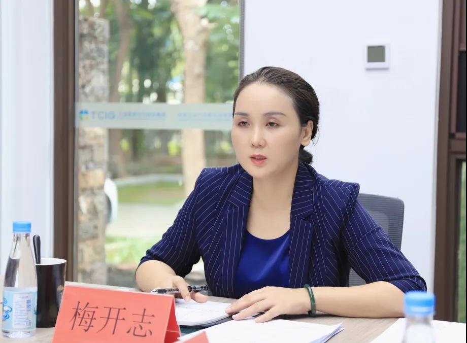 三亚旅游文化发展集团有限公司 三亚旅游文化发展集团有限公司