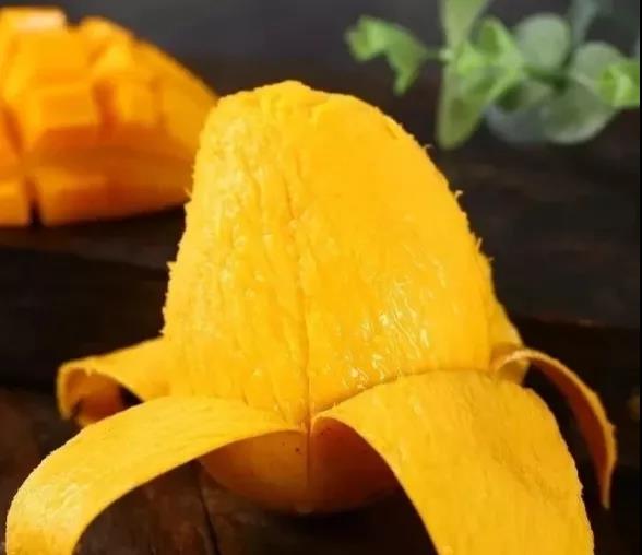 三亚旅游文化发展集团有限公司 三亚旅游文化发展集团有限公司