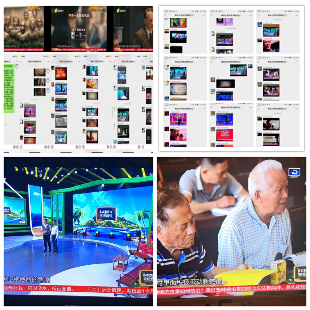 三亚旅游文化发展集团有限公司