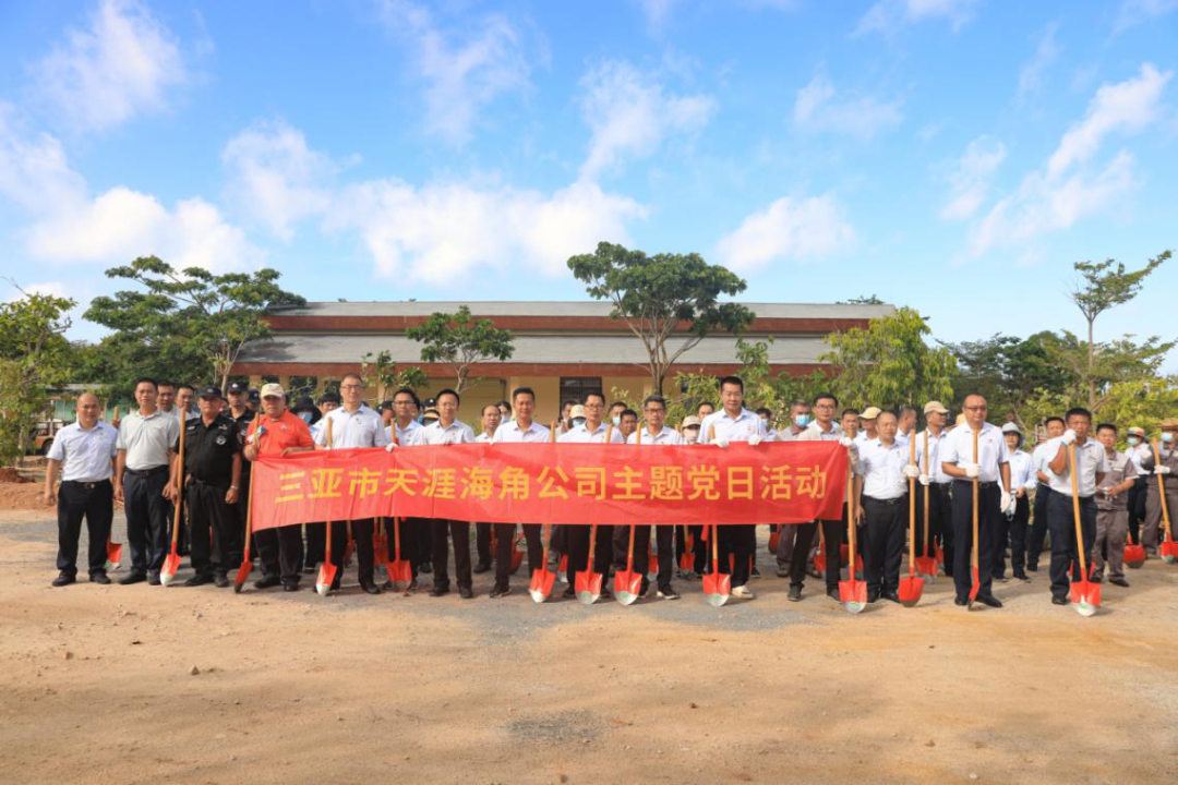 三亚旅游文化发展集团有限公司 三亚旅游文化发展集团有限公司