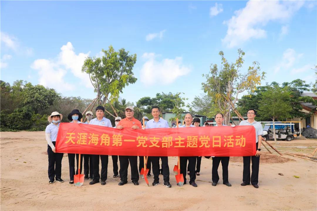 三亚旅游文化发展集团有限公司 三亚旅游文化发展集团有限公司