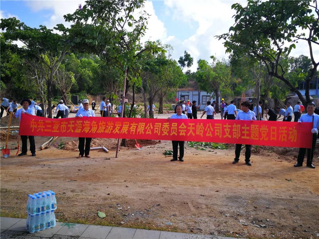 三亚旅游文化发展集团有限公司 三亚旅游文化发展集团有限公司