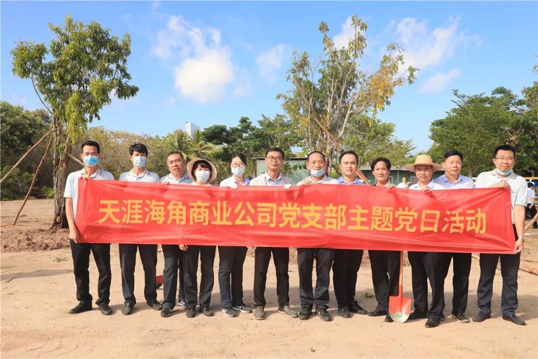 三亚旅游文化发展集团有限公司 三亚旅游文化发展集团有限公司