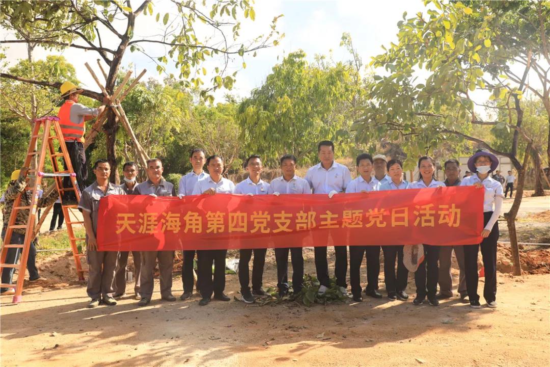 三亚旅游文化发展集团有限公司 三亚旅游文化发展集团有限公司