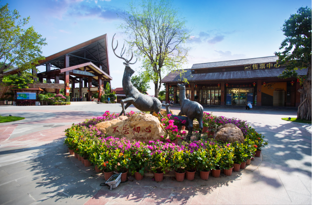 三亚旅游文化发展集团有限公司 三亚旅游文化发展集团有限公司