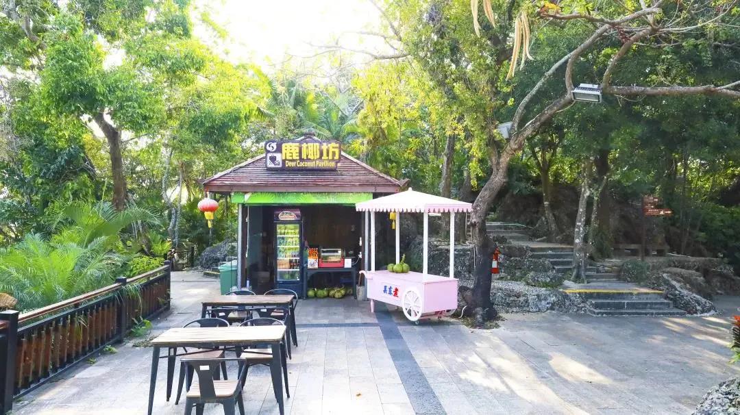 三亚旅游文化发展集团有限公司 三亚旅游文化发展集团有限公司