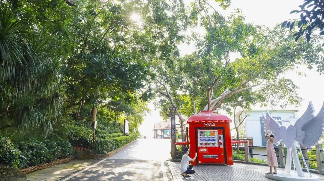 三亚旅游文化发展集团有限公司 三亚旅游文化发展集团有限公司