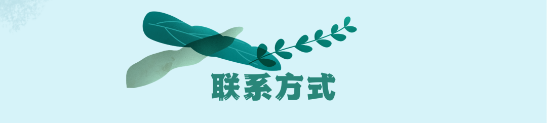 三亚旅游文化发展集团有限公司 三亚旅游文化发展集团有限公司