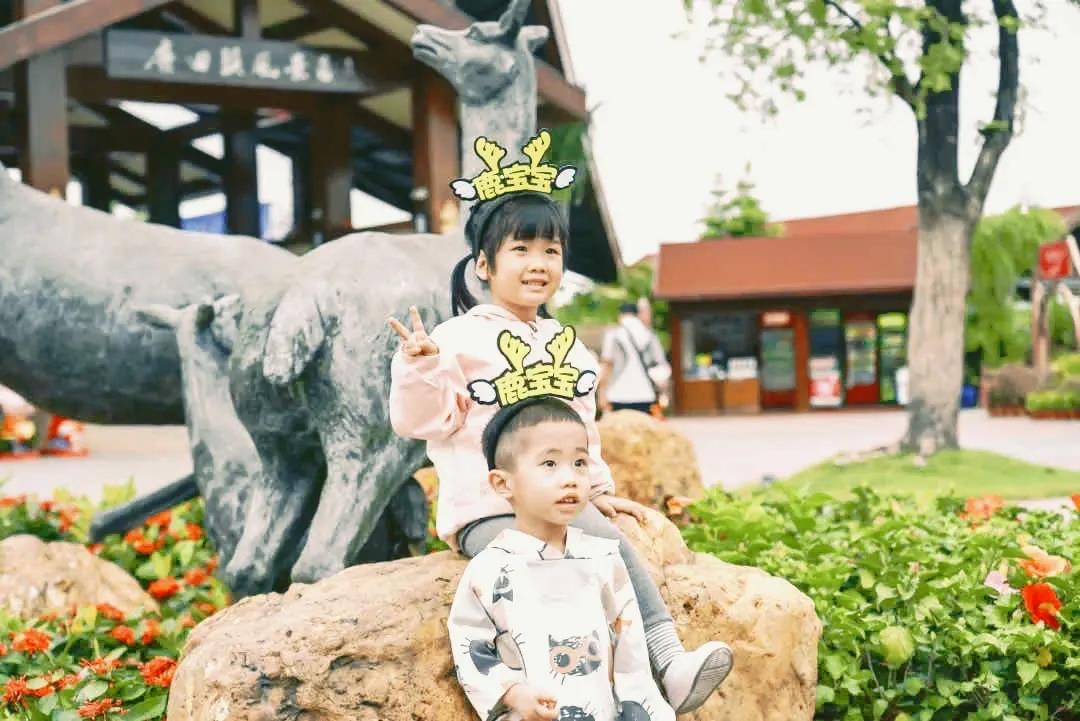 三亚旅游文化发展集团有限公司 三亚旅游文化发展集团有限公司