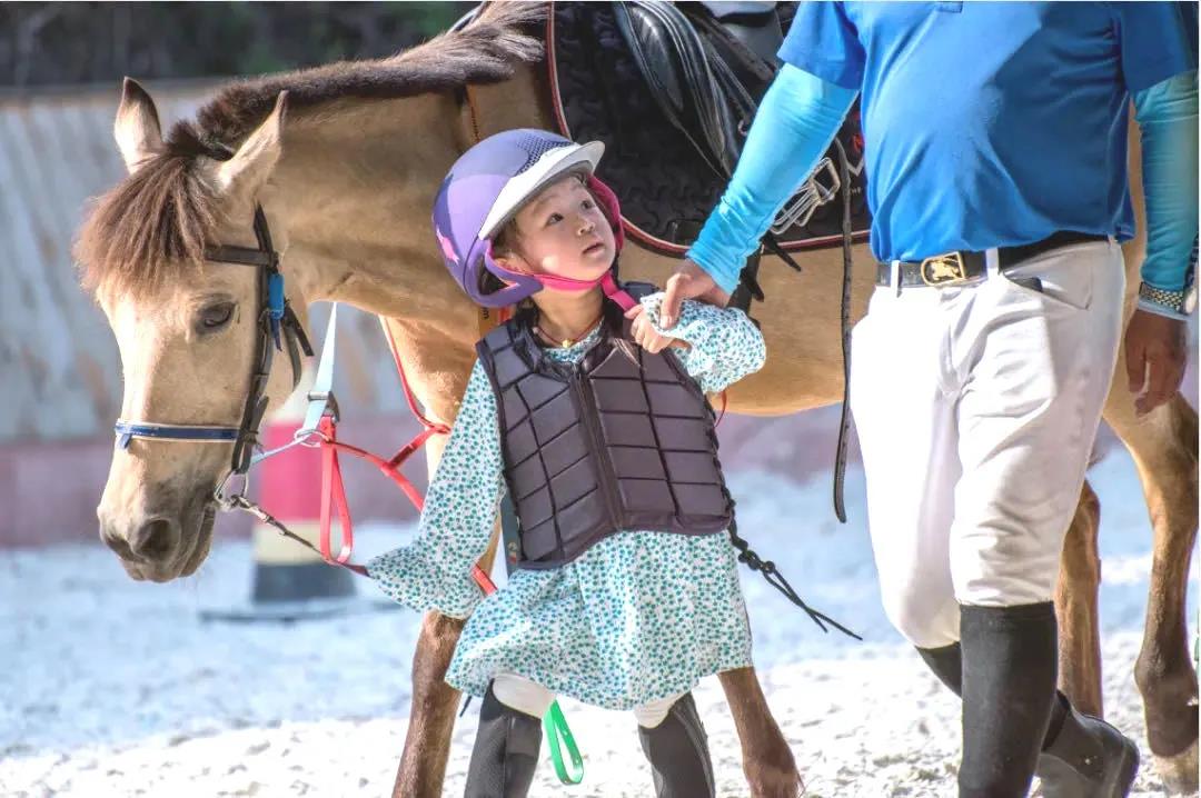 三亚旅游文化发展集团有限公司 三亚旅游文化发展集团有限公司