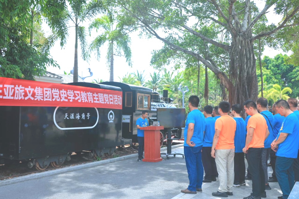 三亚旅游文化发展集团有限公司