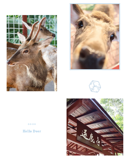 三亚旅游文化发展集团有限公司